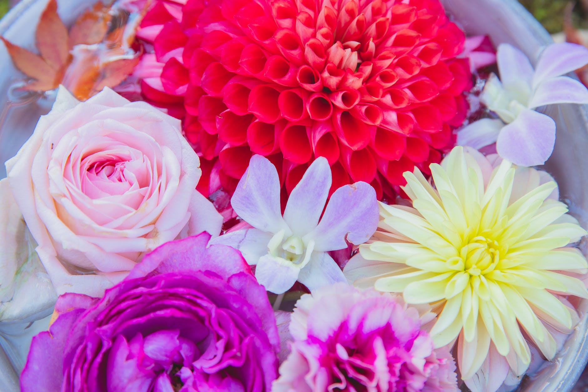 fresh different colorful flowers in pot in water