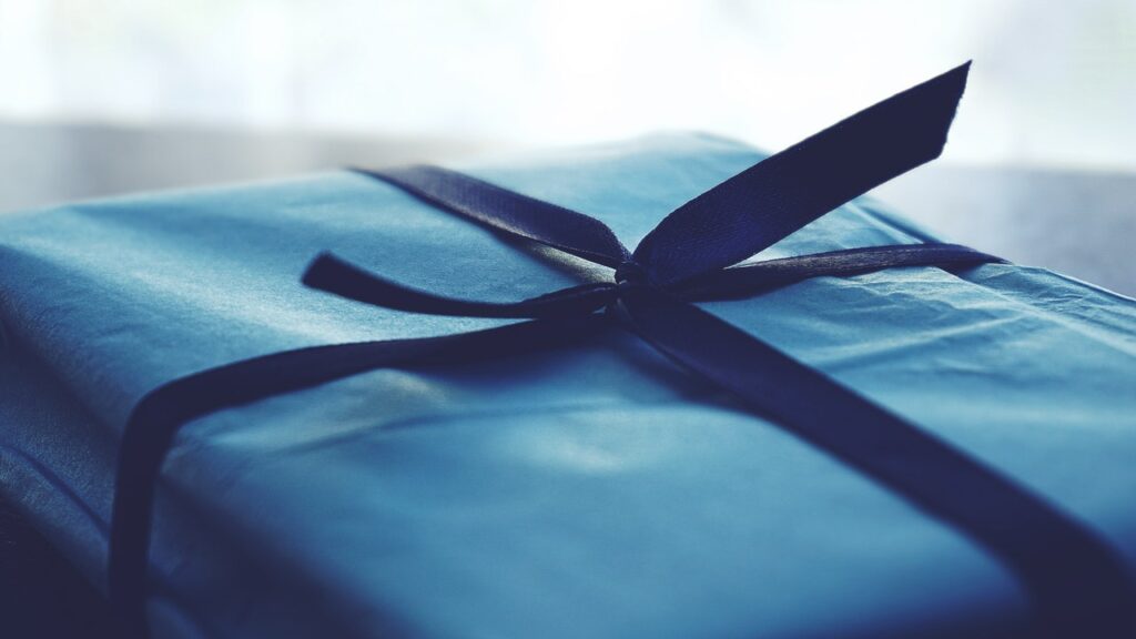 A blue wrapped parcel tied with a bow.